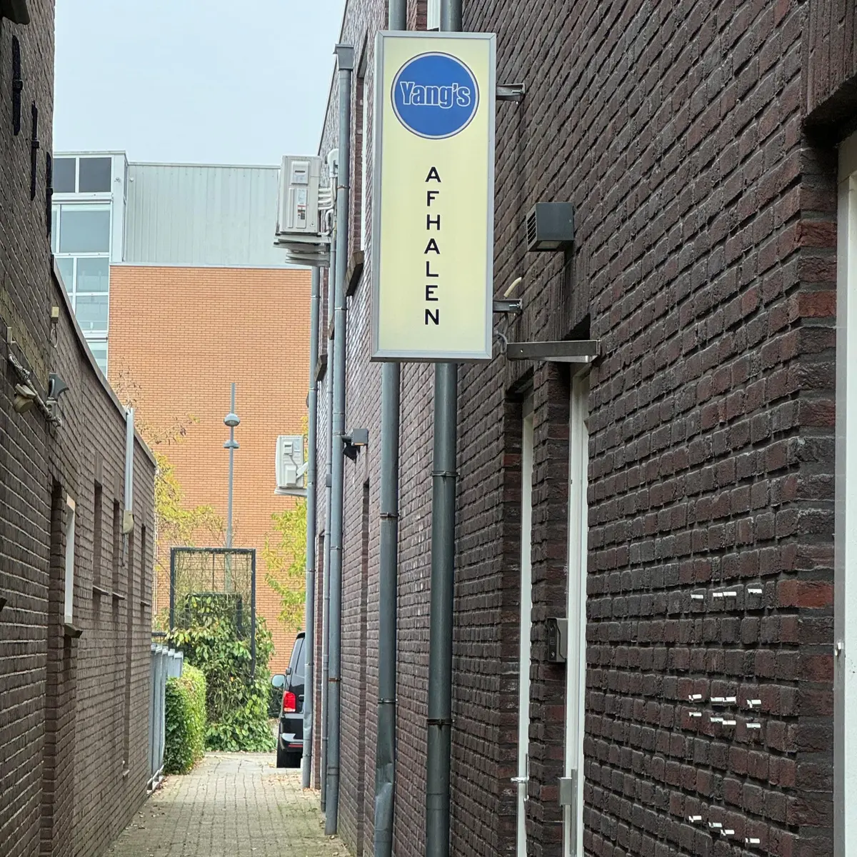Yang's Hoogeveeen - 2